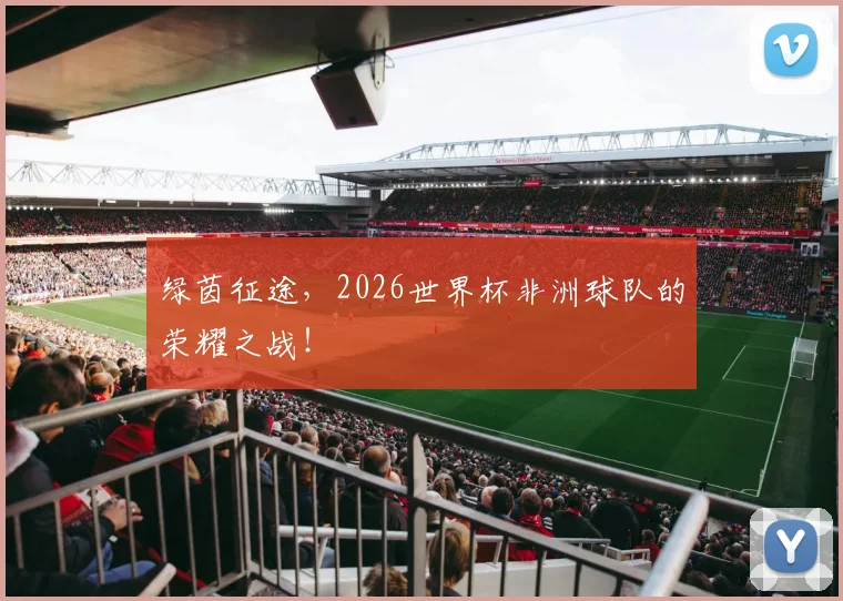 绿茵征途,2026世界杯非洲球队的荣耀之战!