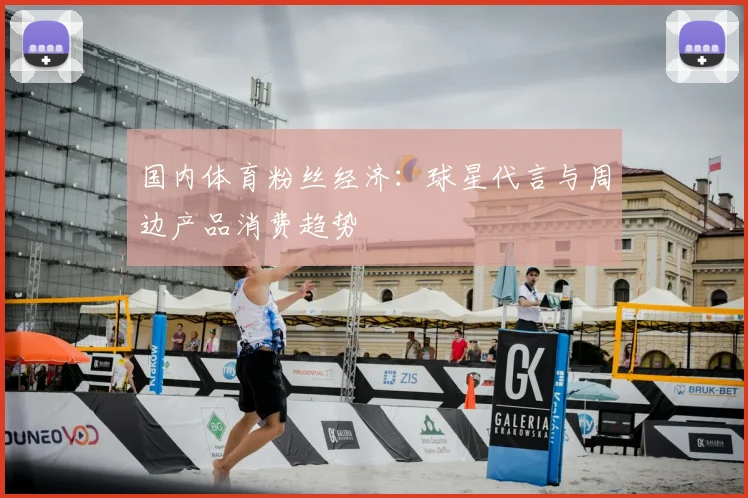 国内体育粉丝经济：球星代言与周边产品消费趋势