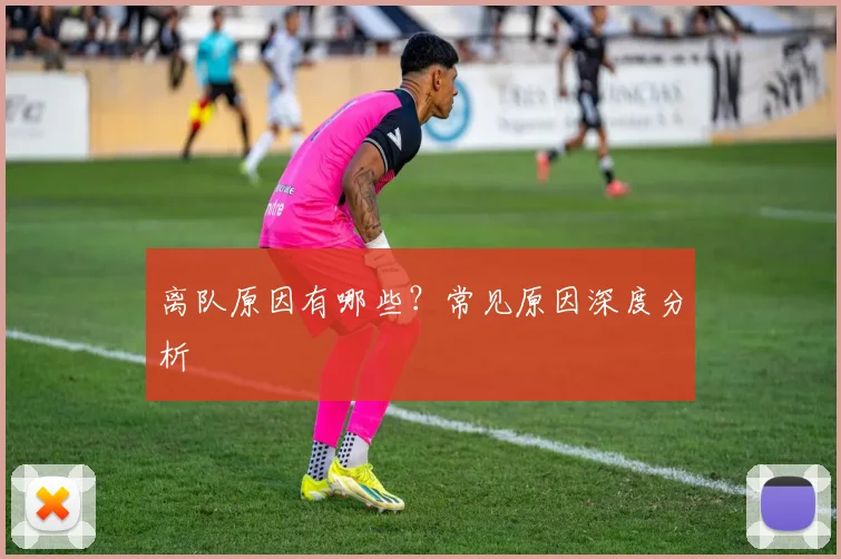 离队原因有哪些？常见原因深度分析