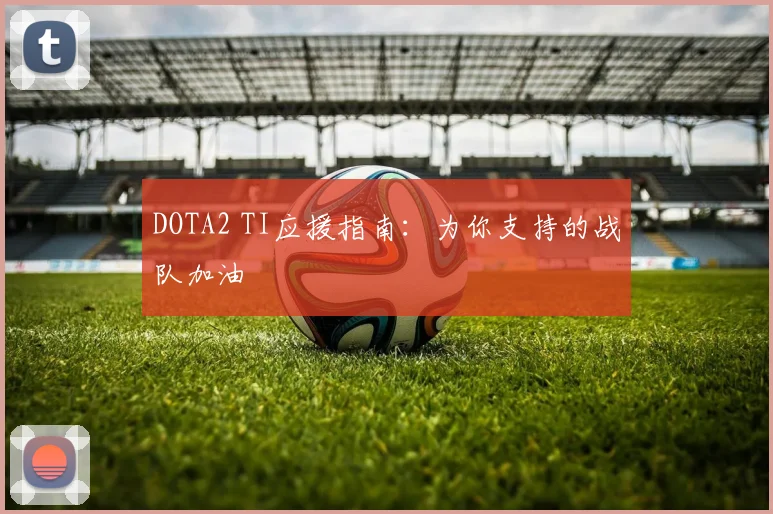 DOTA2 TI应援指南：为你支持的战队加油