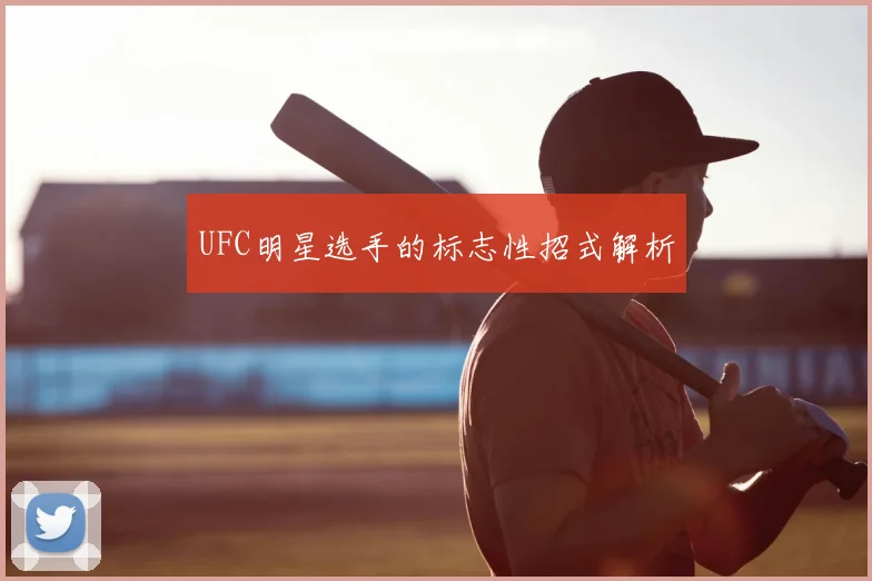 UFC明星选手的标志性招式解析