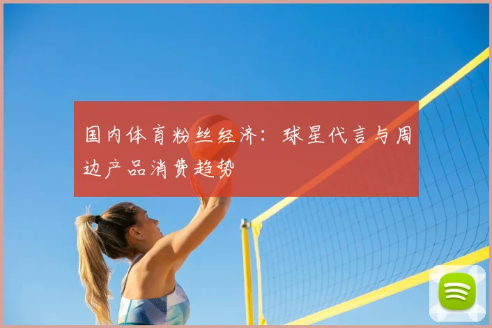 国内体育粉丝经济:球星代言与周边产品消费趋势