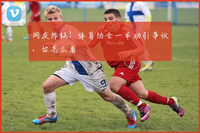 网友炸锅！体育协会一举动引争议，你怎么看