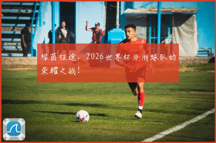 绿茵征途,2026世界杯非洲球队的荣耀之战!