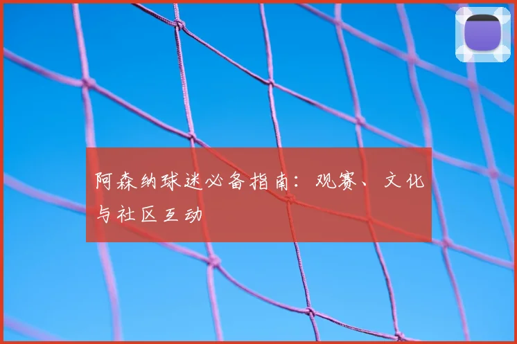 阿森纳球迷必备指南:观赛、文化与社区互动