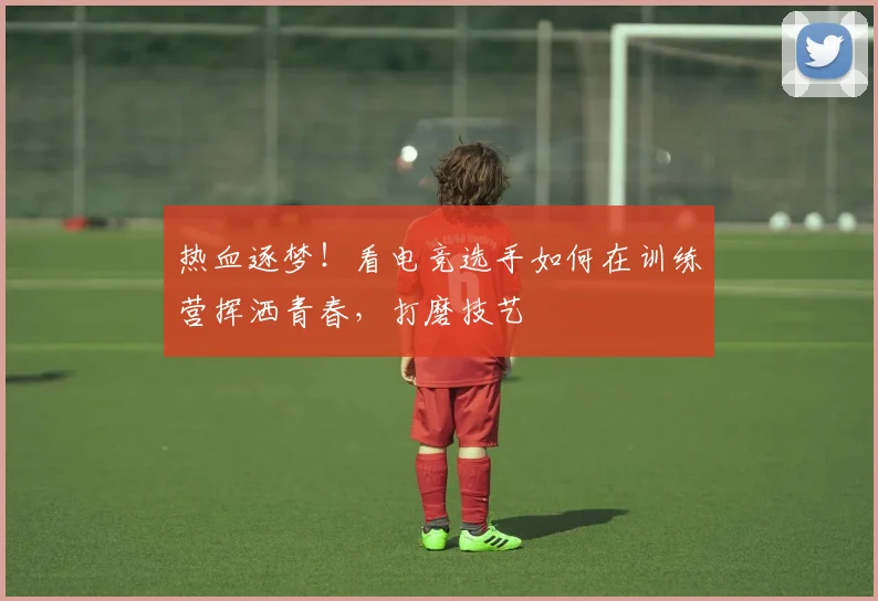 热血逐梦！看电竞选手如何在训练营挥洒青春，打磨技艺