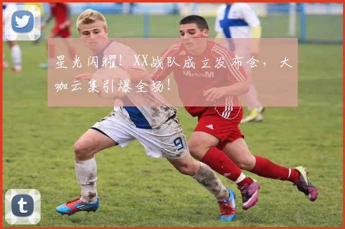 星光闪耀!XX战队成立发布会,大咖云集引爆全场!