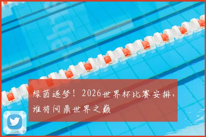 绿茵逐梦!2026世界杯比赛安排,谁将问鼎世界之巅